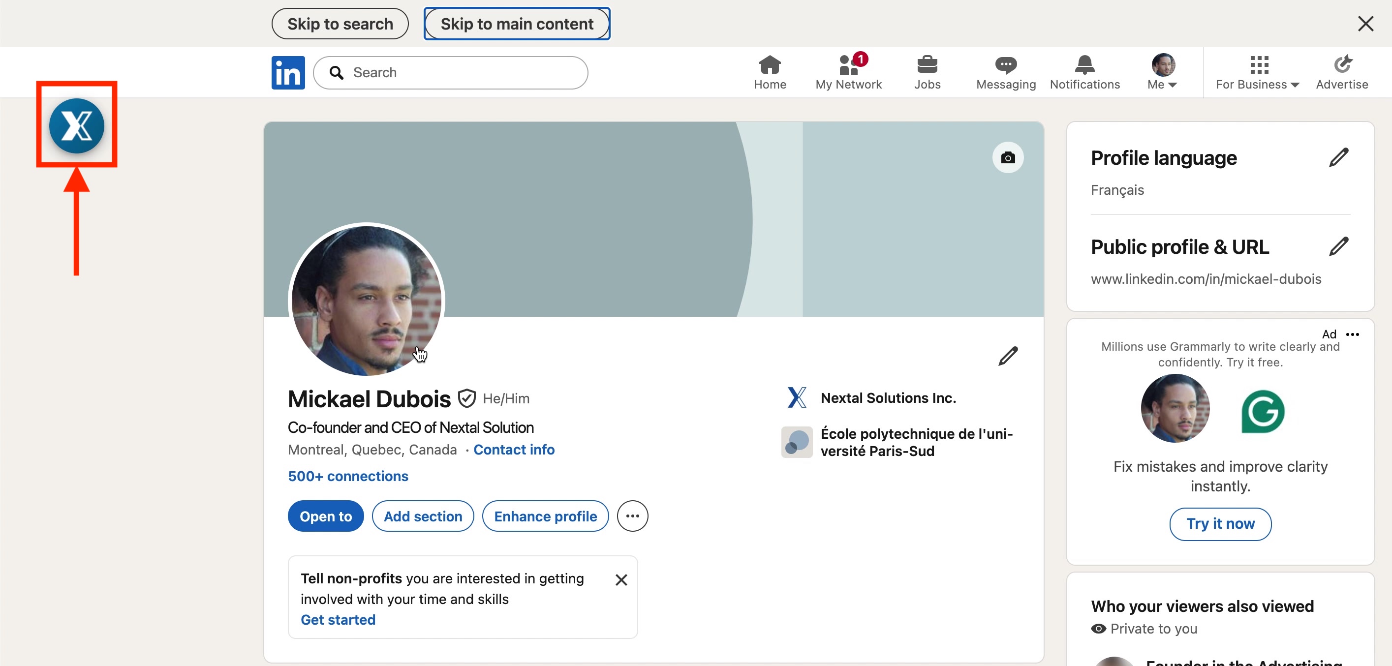 Nextal overlay button appearing on a LinkedIn profile